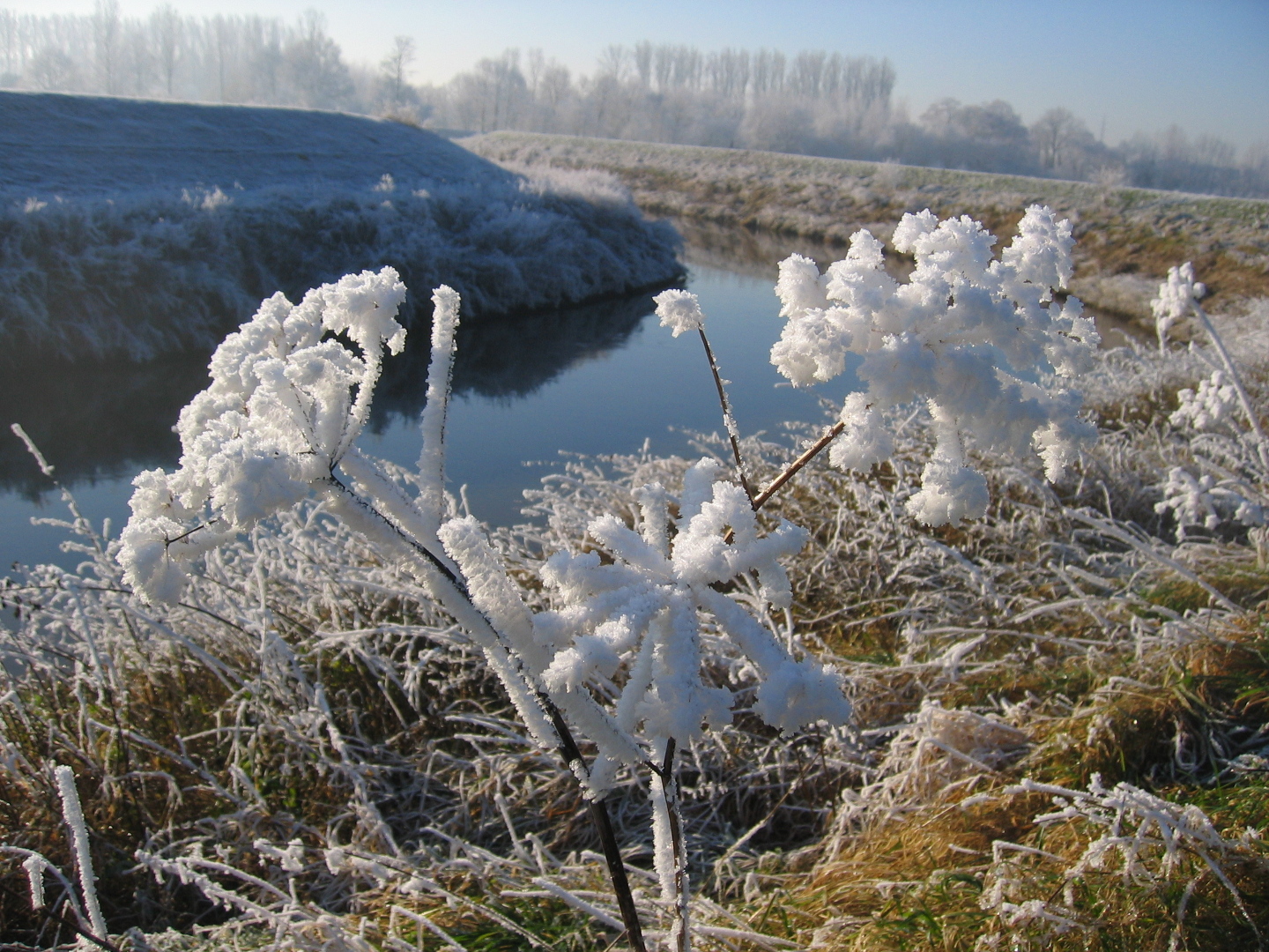 winterdijle